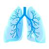 human-lung-bronchi-blue-100x100