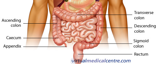 Adenocarcinoma Of The Rectum Renal Cancer Information Myvmc