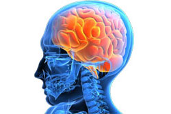 Brainstem auditory evoked potential (BAEP)