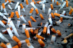 Cigarette additives
