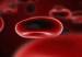 Blood cell illustration