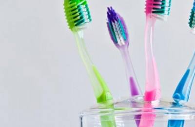 Four different colored toothbrushes in toothbrush holder